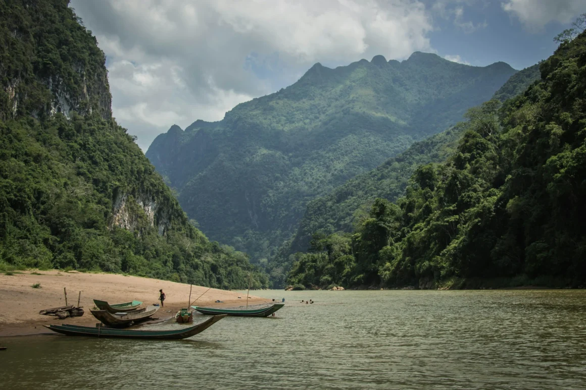 Photo by Ioana Farcas on Unsplash