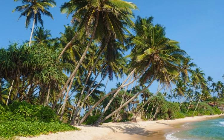 Dickwella Beach