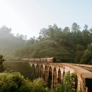 Scenic Train Ride in Sri Lanka