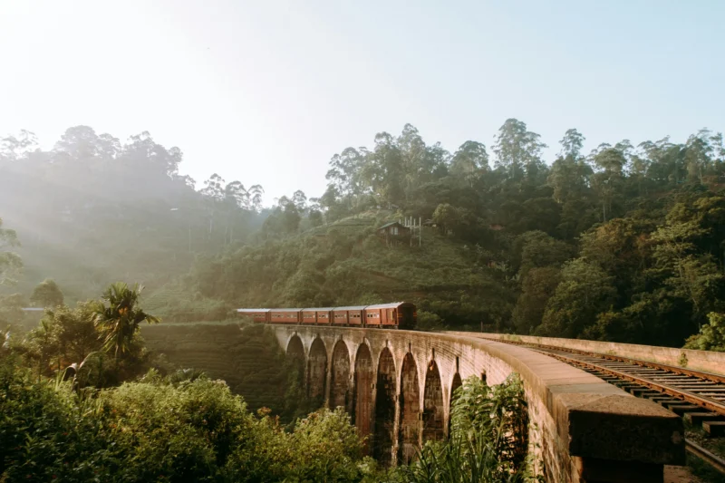 Scenic Train Ride in Sri Lanka