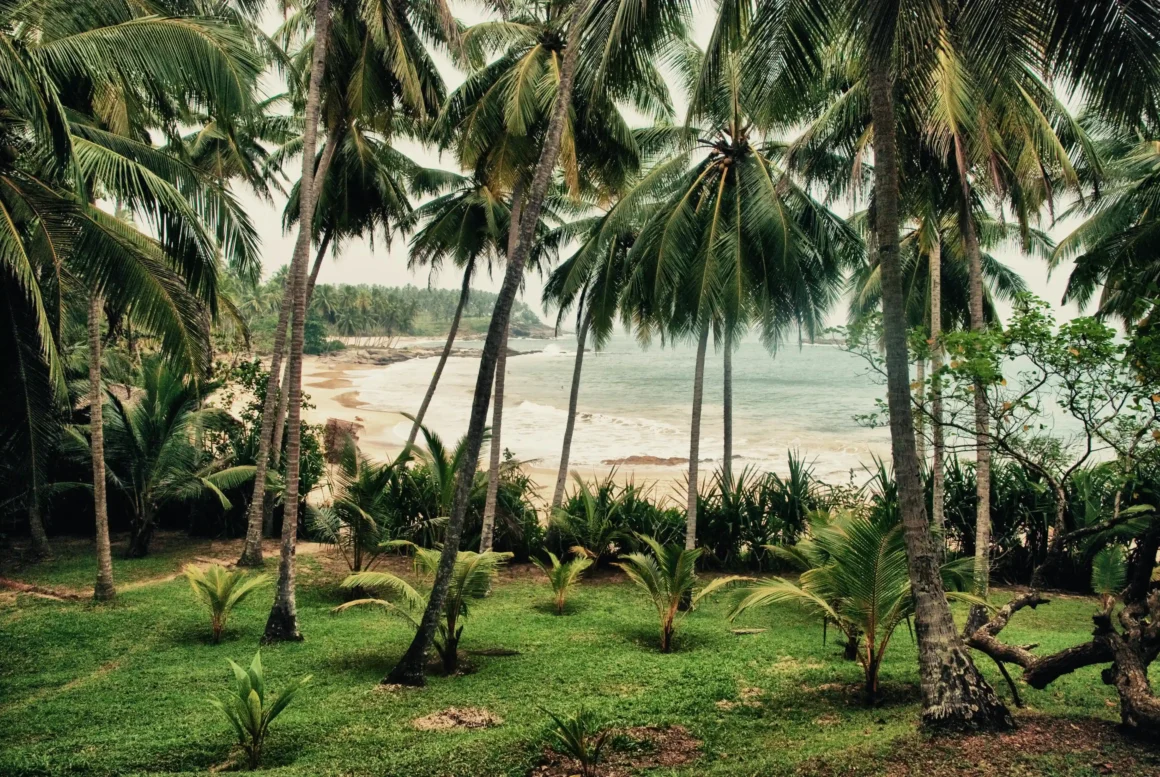 Unawatuna Beach