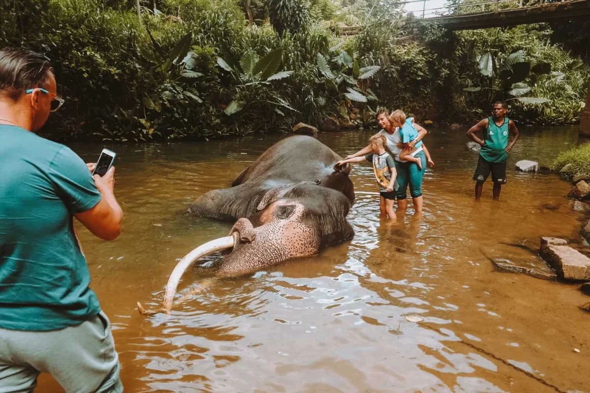 Sri Lanka as a Family Friendly Destination